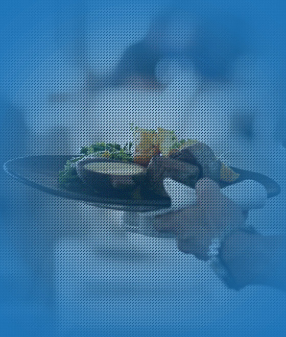 Mallie United Ventures