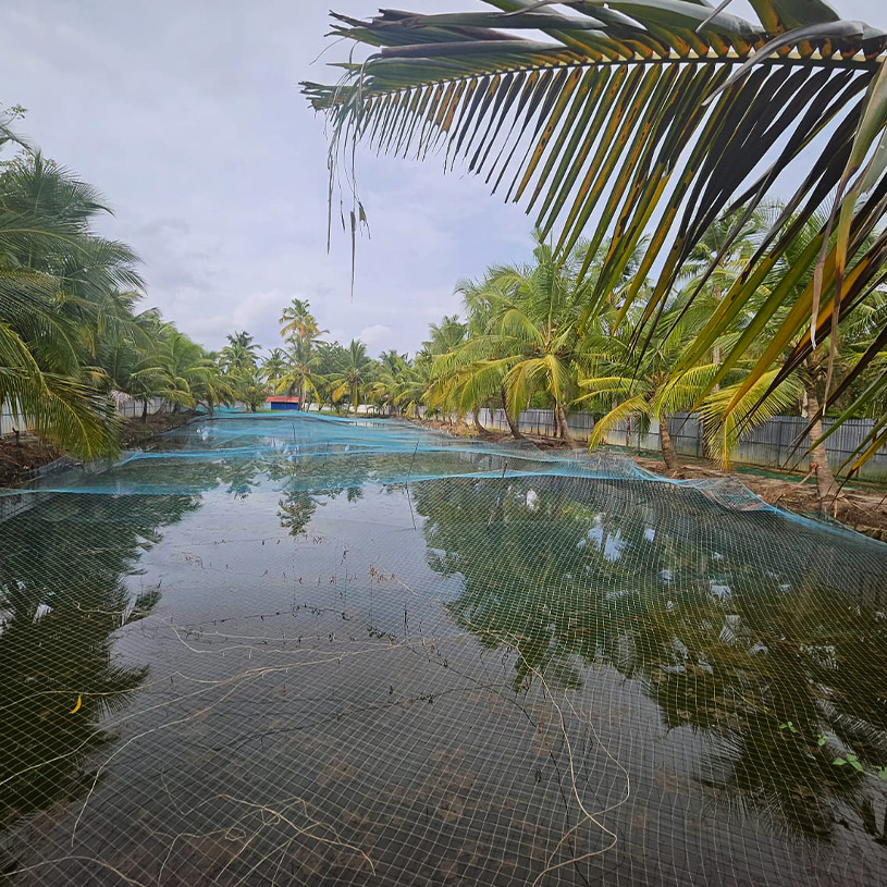 Mallie United Ventures