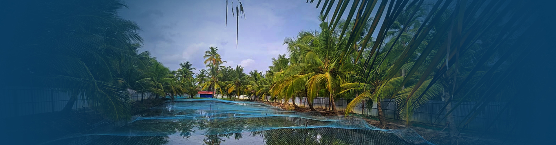 Mallie United Ventures