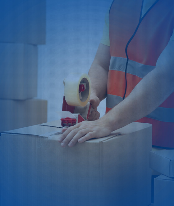 Mallie United Ventures