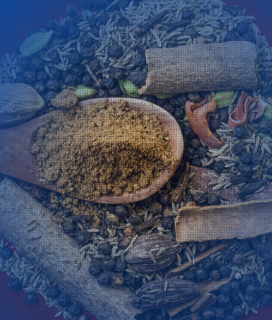 Mallie United Ventures